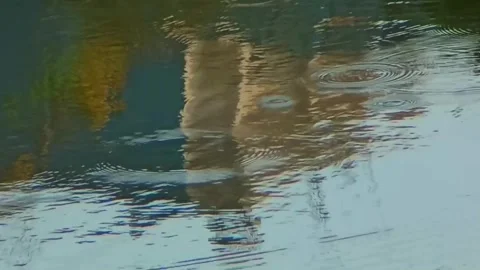 Wavy water reflection in the pond Stock Footage 254482936
