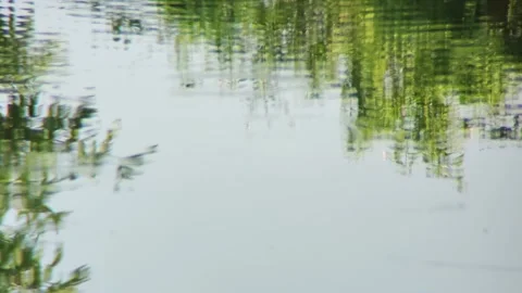 Wavy water reflection in the pond Stock Footage 254484535