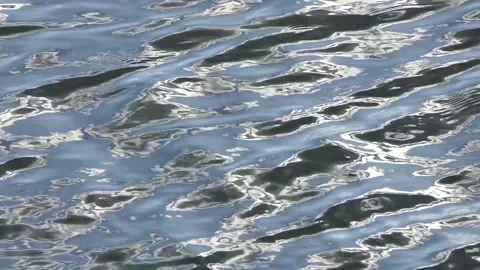 Wavy water with sunlight reflections Stock Footage 237683332
