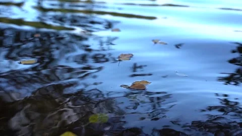 Wavy water surface close-up. in slow motion Video stock 209161435