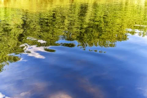 Wavy water surface of the river with reflection of coastal vegetation Stock Photos