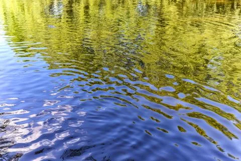 Wavy water surface of the river with reflection of coastal vegetation Stock Photos