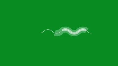 Wavy white line and light green trail animation on a green screen background Stock Footage 330881598