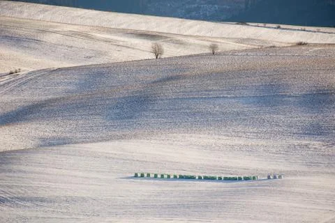 Wavy winter fields with hay stacks Stock Photos