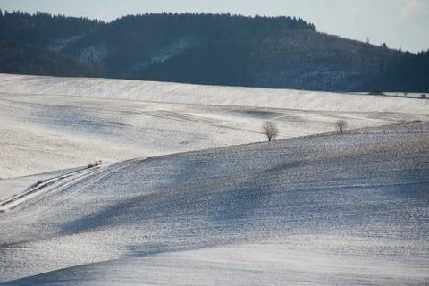 Wavy winter fields with trees and hill in background Stock Photos