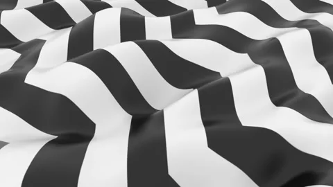 Wavy Zebra Background Stock Footage 151832631
