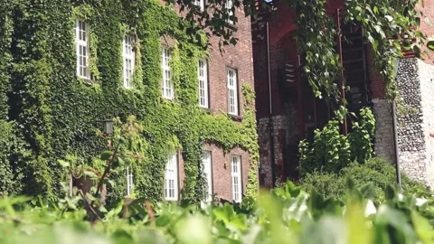 Wawel castle building Stock Footage 137525621