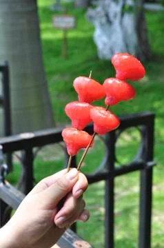 Wax apple Stock Photos