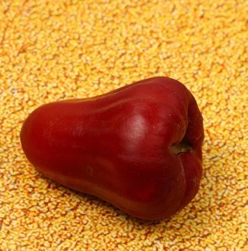 Wax apple Stock Photos