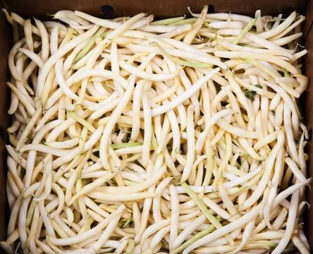 Wax Beans Stock-Fotos