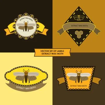 Wax moth Stock Illustration