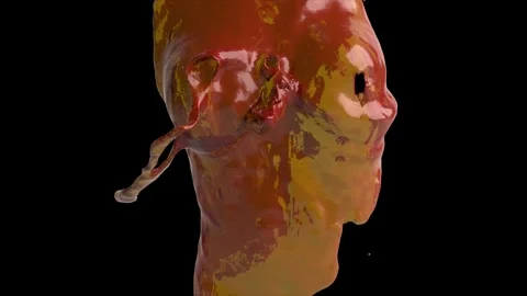 Wax statue 04 Stock Footage 340519572