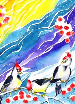 Waxwings Stock Photos