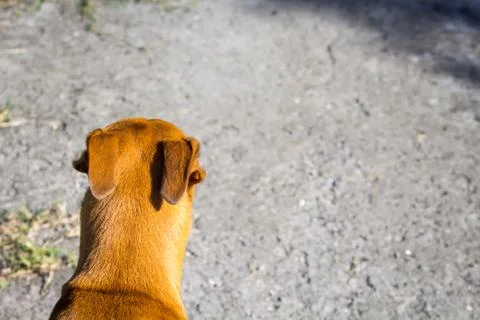 The Way Ahead Stock Photos