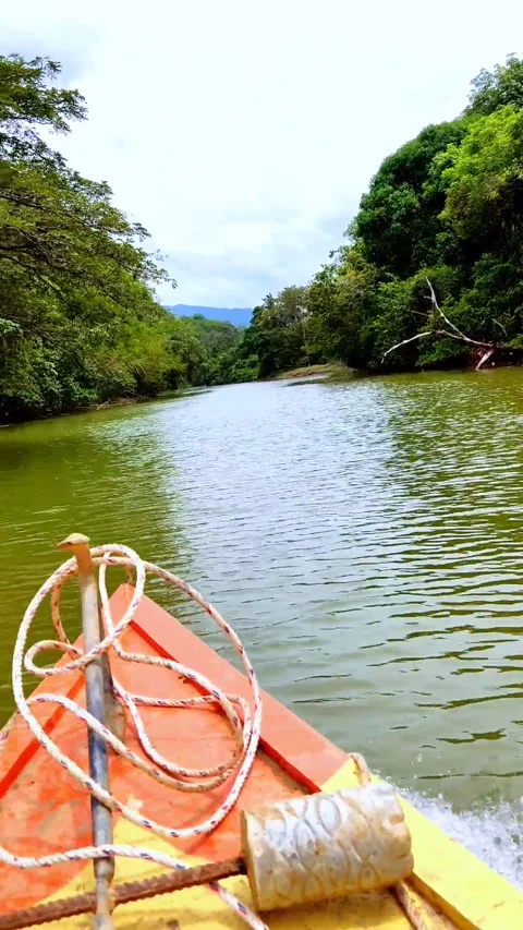 The way to back to my village. Stock Footage 252951625