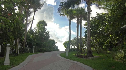 Way to the beach Stock Footage 66767271