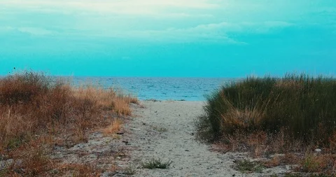 Way to the beach Stock Footage 116709344