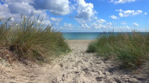 Way to beach Stock Footage 200843336