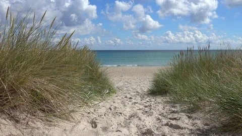 Way to beach Stock Footage 201876977