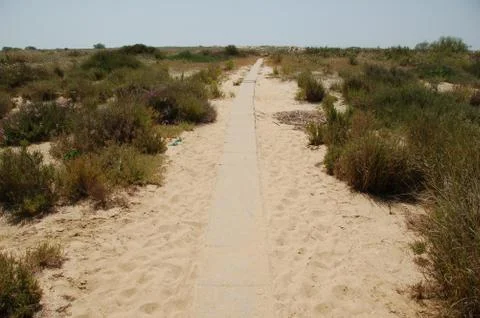 Way to the beach Stock Photos