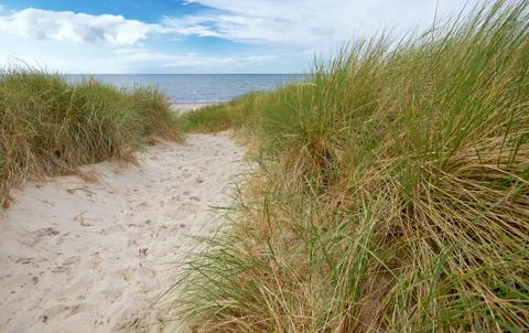Way to beach Stock Photos