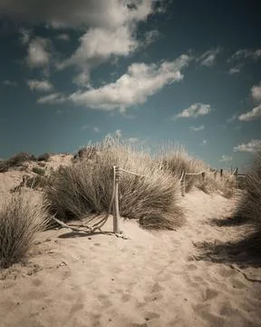On the way to the beach Stock Photos