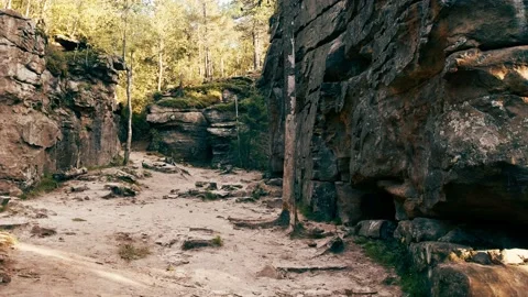 Way between the rocks in the forest Stock Footage 141071312