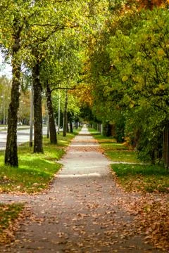 Way to the brighter future Stock Photos