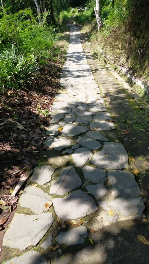 Way down Video stock 292504307