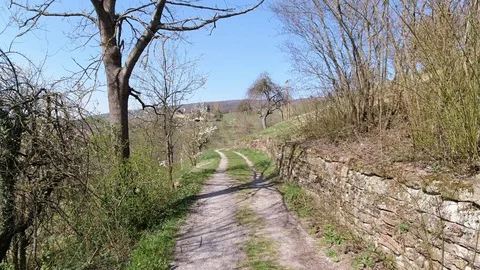 Way with field meadow and wall of stone countryside Stock Footage 128921819