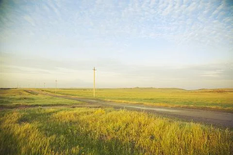 Way in field Stock Photos