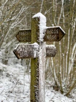 Way finding post in Forest Stock Photos