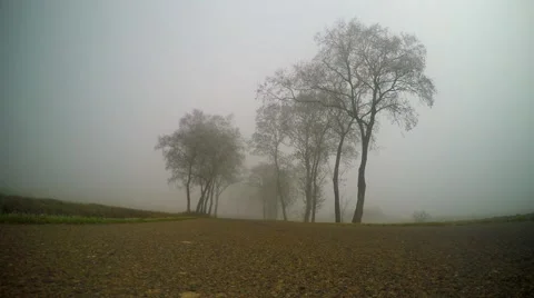 Way in the fog Stock Footage 57358690