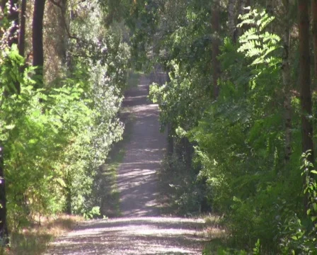 Way Vídeo Stock 519933