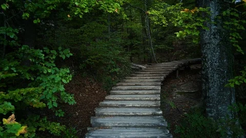 Way in forest, Croatia Stock Footage 75122870