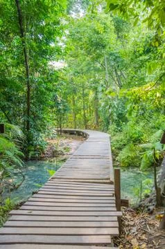 Way in forest. Stock Photos