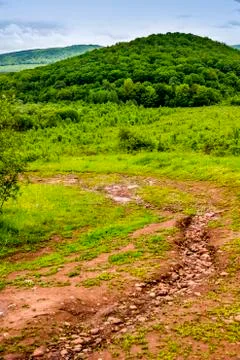 A way to the forest Stock Photos