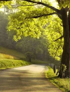 Way to heavan Foto stock