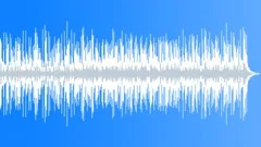 The Way Home (60 seconds folk rock)Stock Music