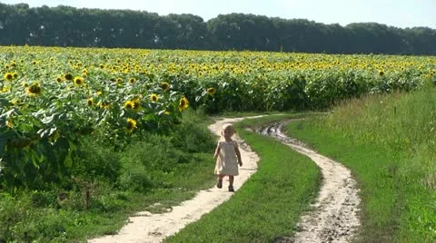 Way Home Stock Footage 11797770