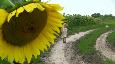 Way Home Stock Footage 11797923