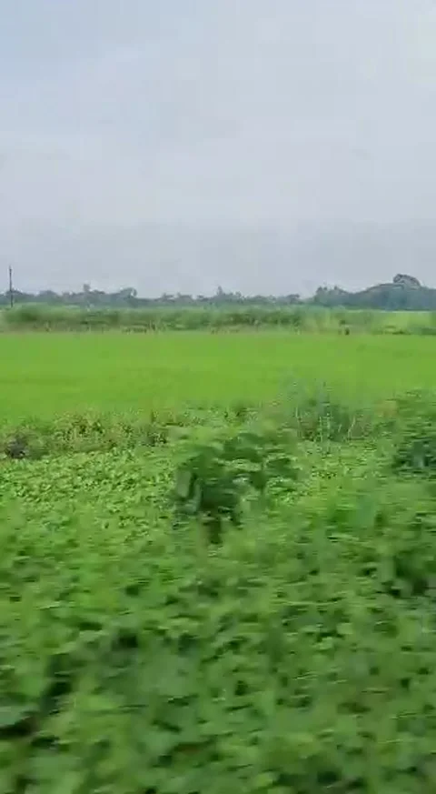 On the way to home Stock Footage 157455050