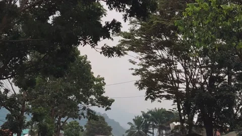 Way home from work Stock Footage 225857331