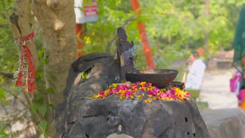 On the way the idol of Shani Dev with burning incense and flowers Stock Footage 221889244