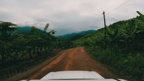 On the way to the jungle Stock Footage 280092990