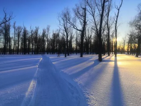 Way to the light Stock Photos