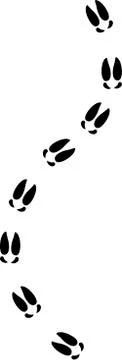 Way of moose tracks Stock Illustration