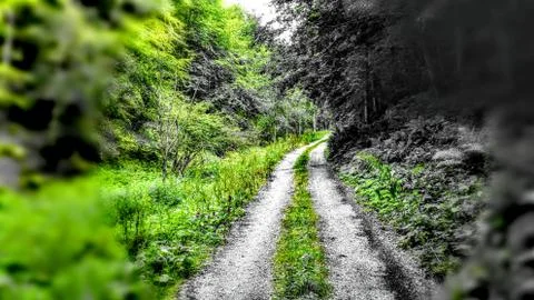 Way to the mountain Foto stock