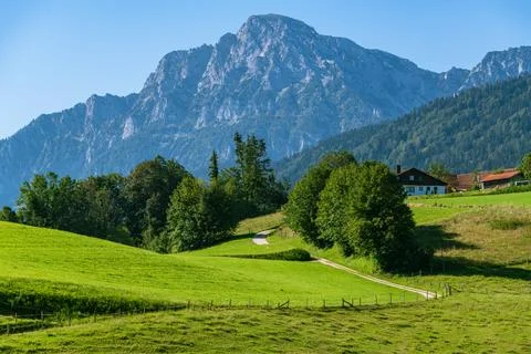 The Way To The Mountain Stock Photos