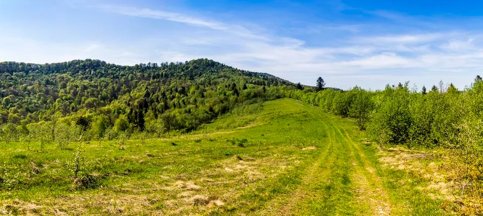 A way to the mountains forest Foto stock